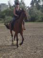 Reiten