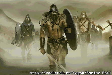 Viking Warriors