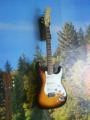 squier solo gitrom