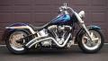 ..Dgs gp..