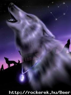 w.htm