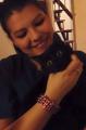 Belnis