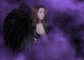 in purple fog