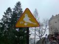 Haunted Zone ?! :D