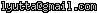 msn