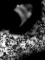 DSC01708