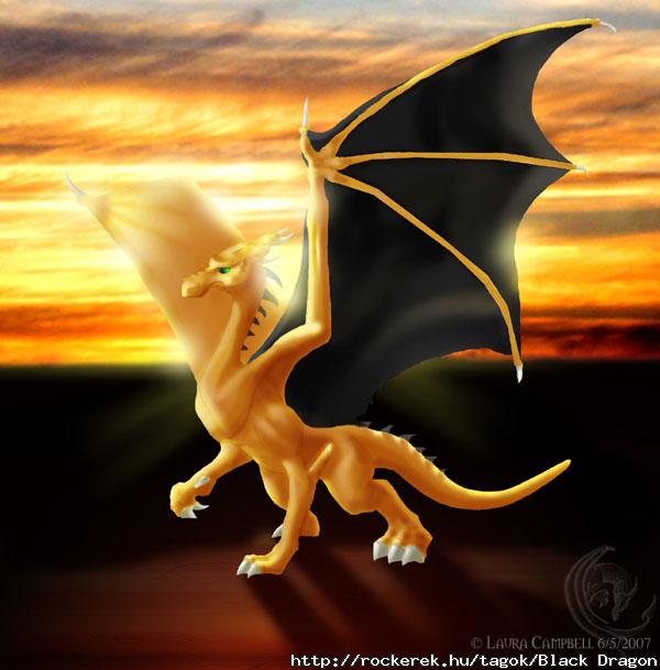 LonelyDragon