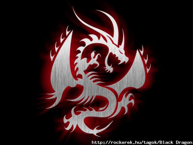 DRAGON