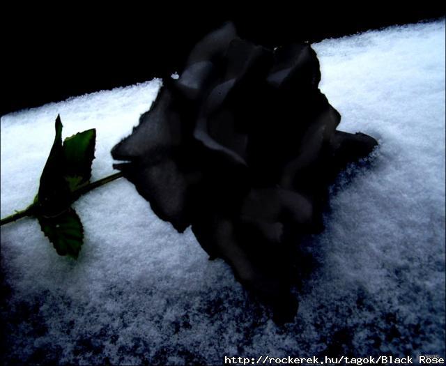 Black_Rose_Immortal_by_DouceAgonie