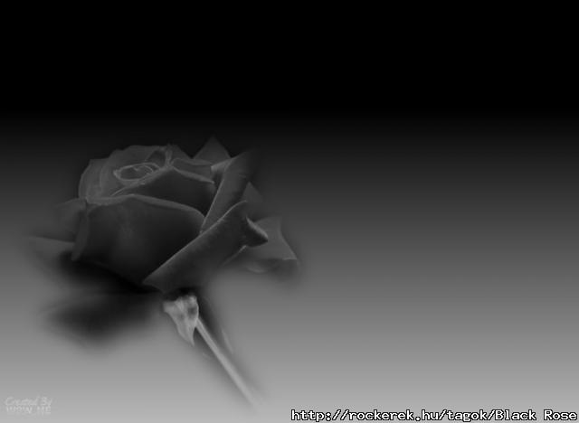 BlackRose22