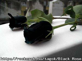 Black_by_KonekoNyanNyan[1]