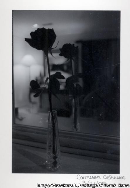 blackrose5
