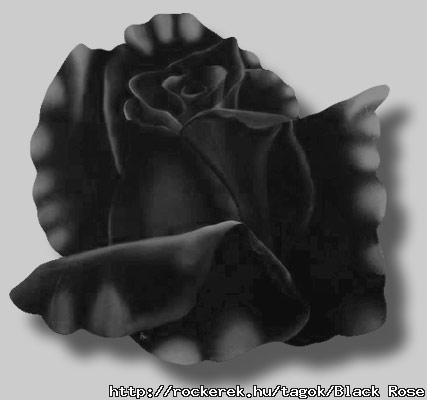 blackrose[1]
