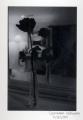 blackrose5