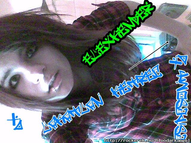 elexkender