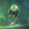 blackwolfy