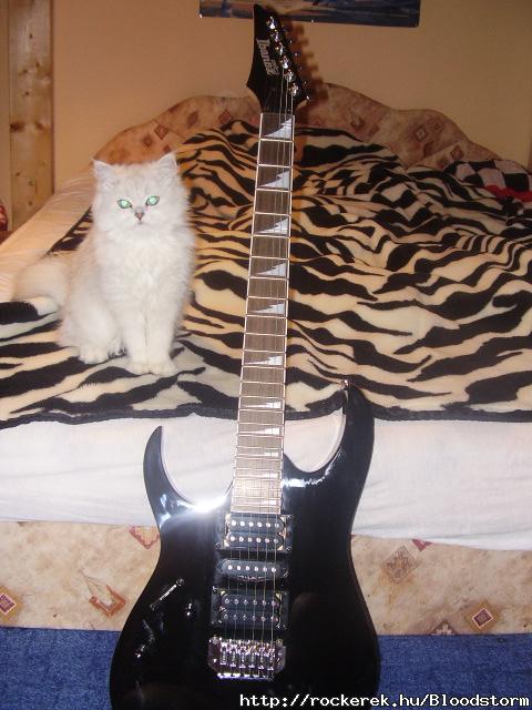 macska & gitr