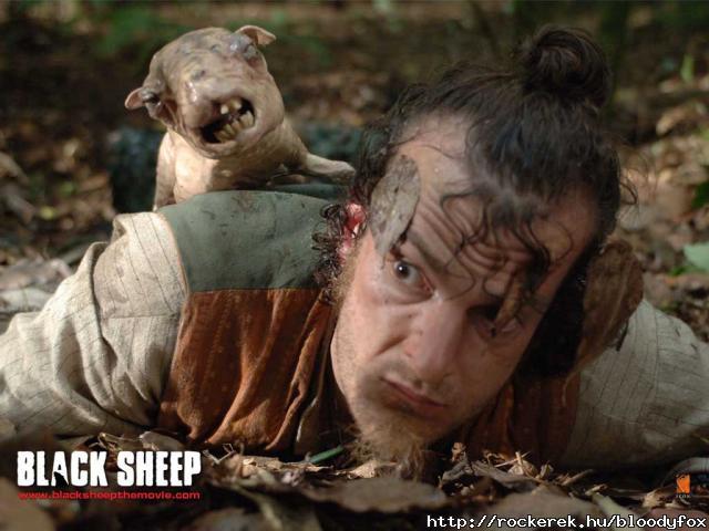 black sheeps!!!!!!run for your life when you heard beeeee