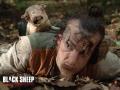 black sheeps!!!!!!run for your life when you heard beeeee