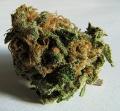 Bongwater