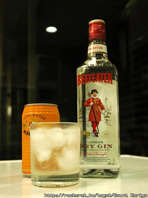 gin_and_tonic