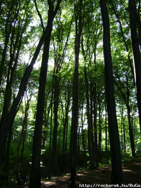DSC05030