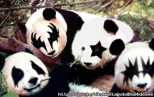 KISS-macik
