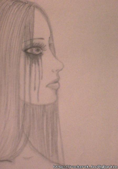 (model: Zsfim)