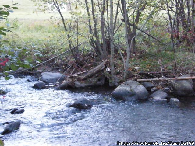 DSCF0881