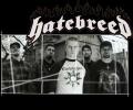 hatebreed