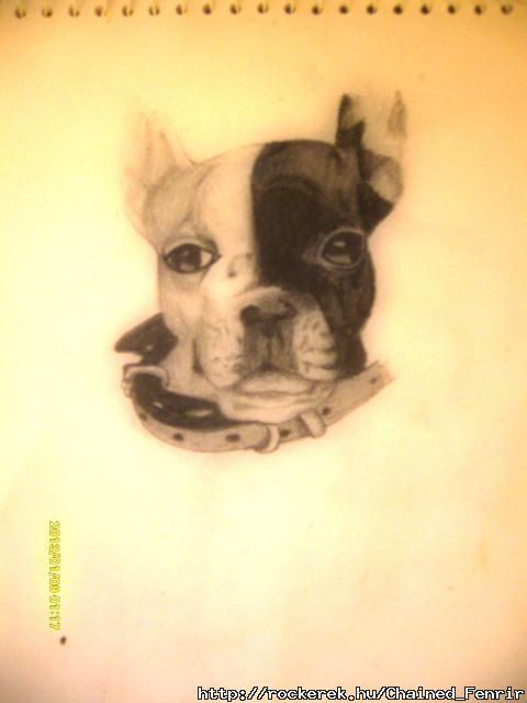 franciabulldog