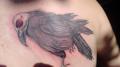 Crow