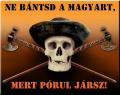 Ne bntsd a magyart!
