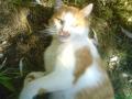 R.I.P :( remlem etetnek rendesen ott fenn:(