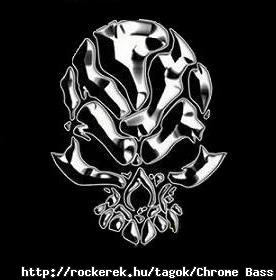chrome skull