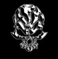 chrome skull