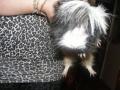 Cocikm *_* (L)
