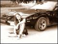 autmmal :)