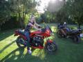 Classic Biker