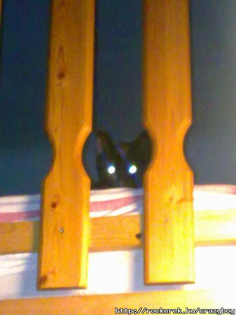 20111007430