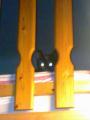20111007430