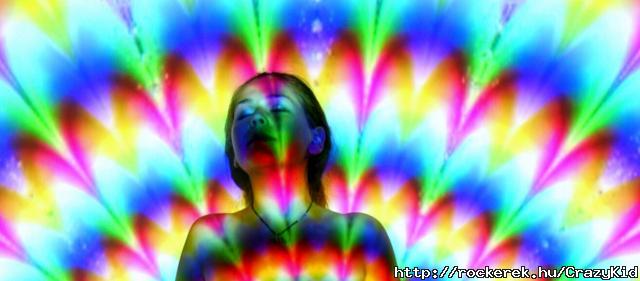 feel the magic