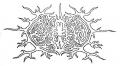 Crowz (msik Noise Projektem) - Contact: crowz666@citromail.hu