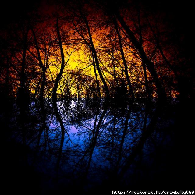 forest