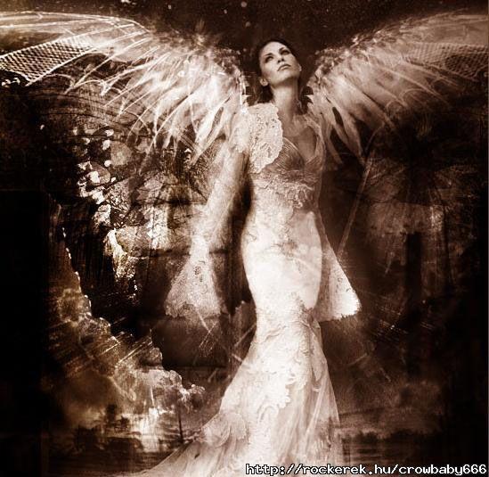 angel 1