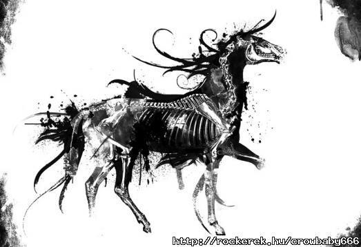 horse bone