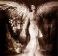 angel 1