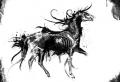 horse bone