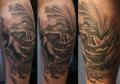 Skull BIO