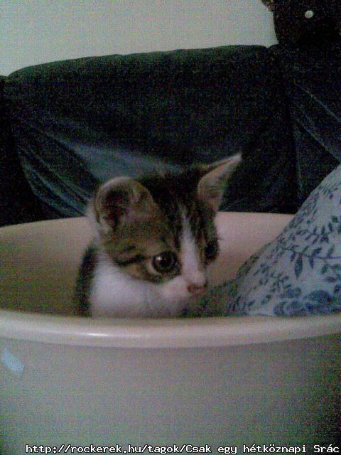 Mi van ott?? o.0  ^^